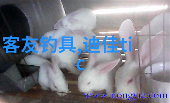 论鱼钩的钓性