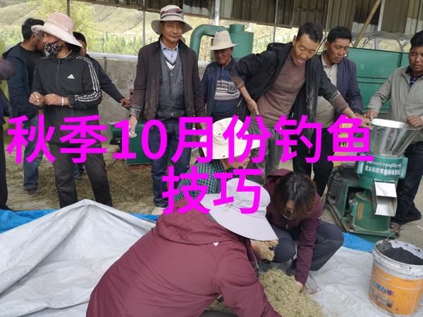 钓饵怎么挂钩