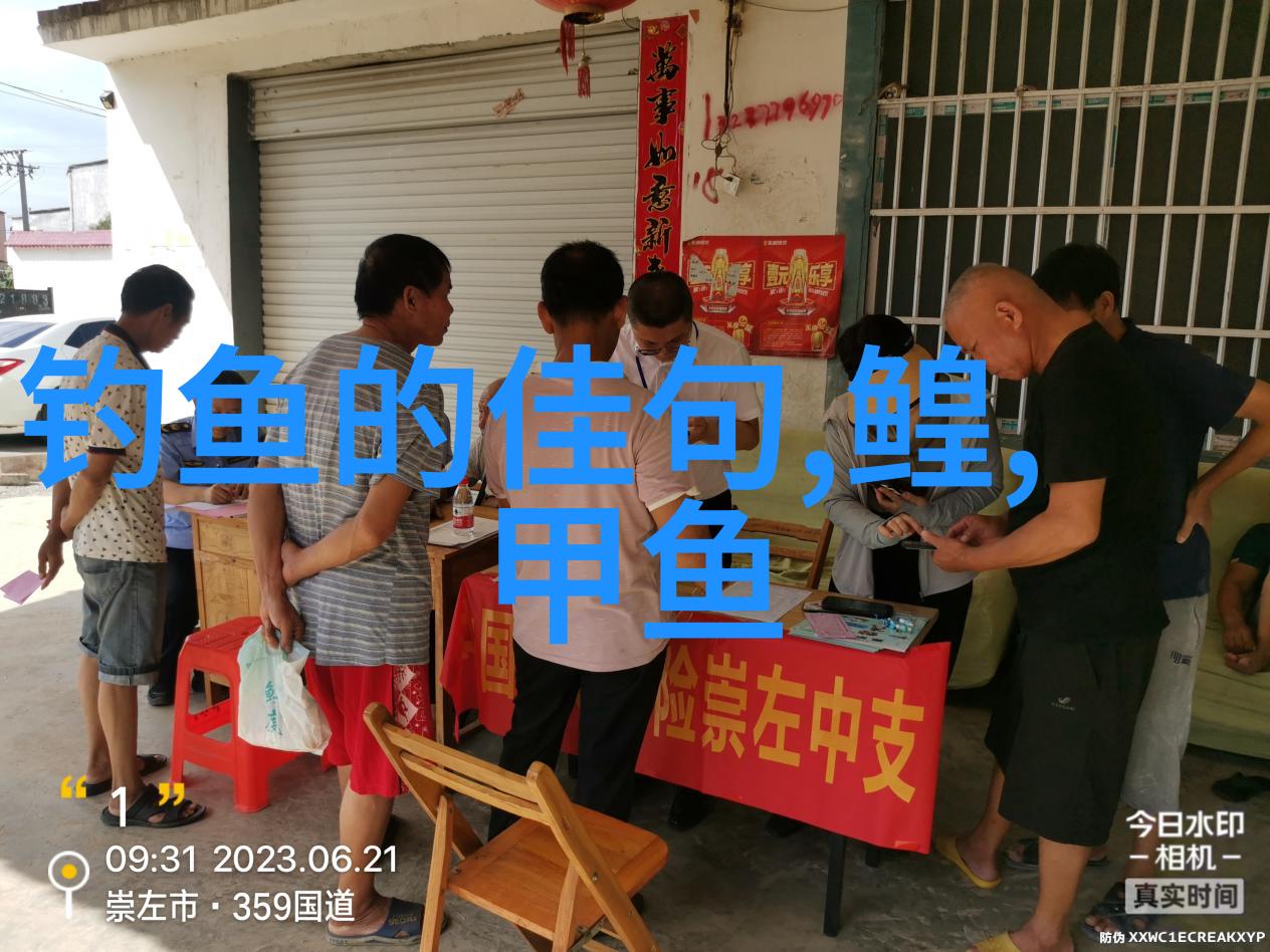 鲢鳙干饵和湿饵怎么调配
